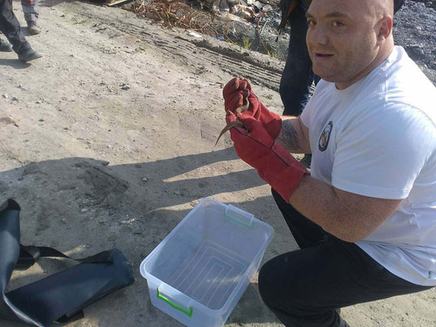 ЗМИЈА ИСПРЕПАДАЛА БУГАРЕ: Поскок прекинуо радове (ФОТО)